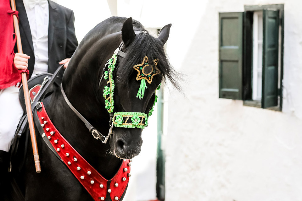 post-arquitectura-menorquina-caballo