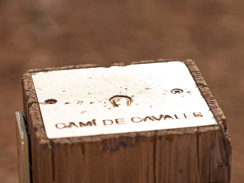 camí de cavalls menorca cristine bedfor