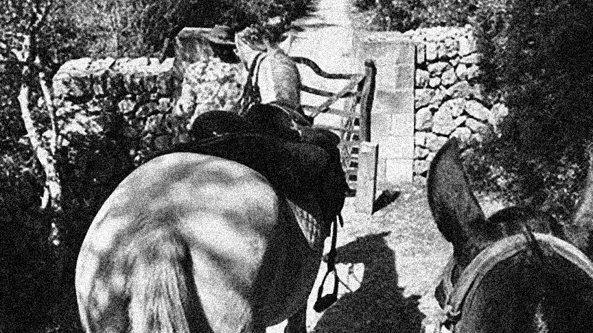 Chevaux devant la clôture et le mur de pierre en noir et blanc.